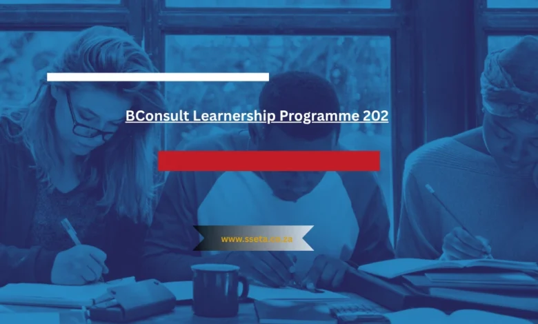 BConsult Learnership Programme 2025