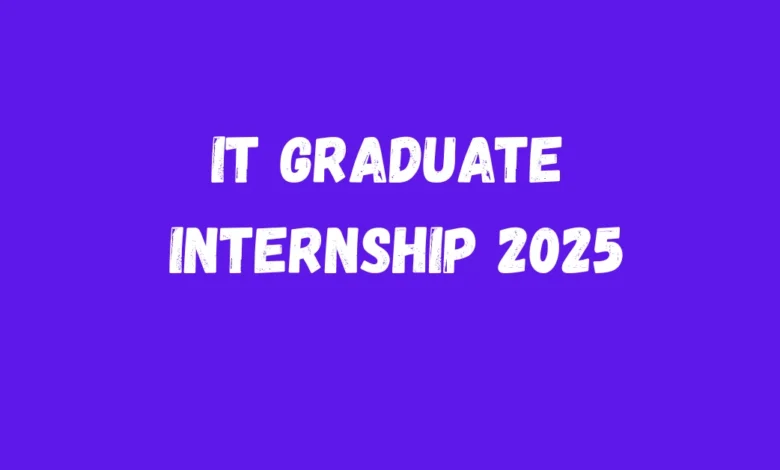 IT Graduate Internship 2025