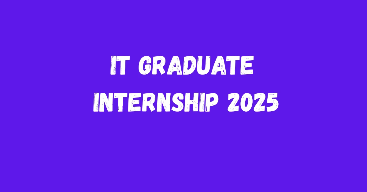 IT Graduate Internship 2025