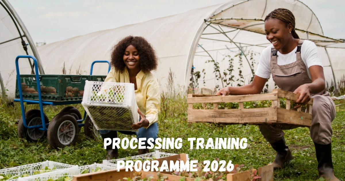 Processing Training Programme 2026