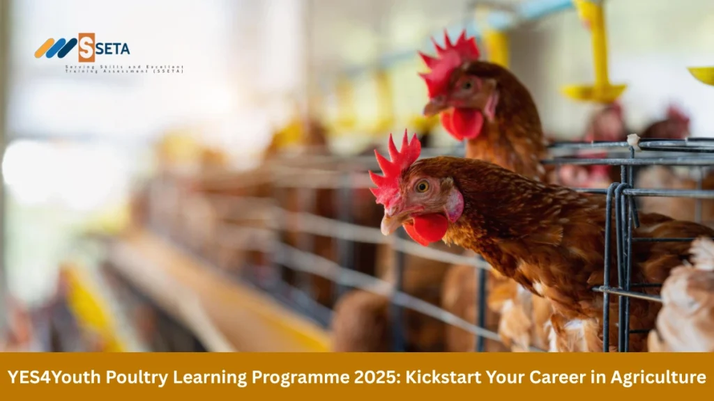YES4Youth Poultry Learning Programme 2025
