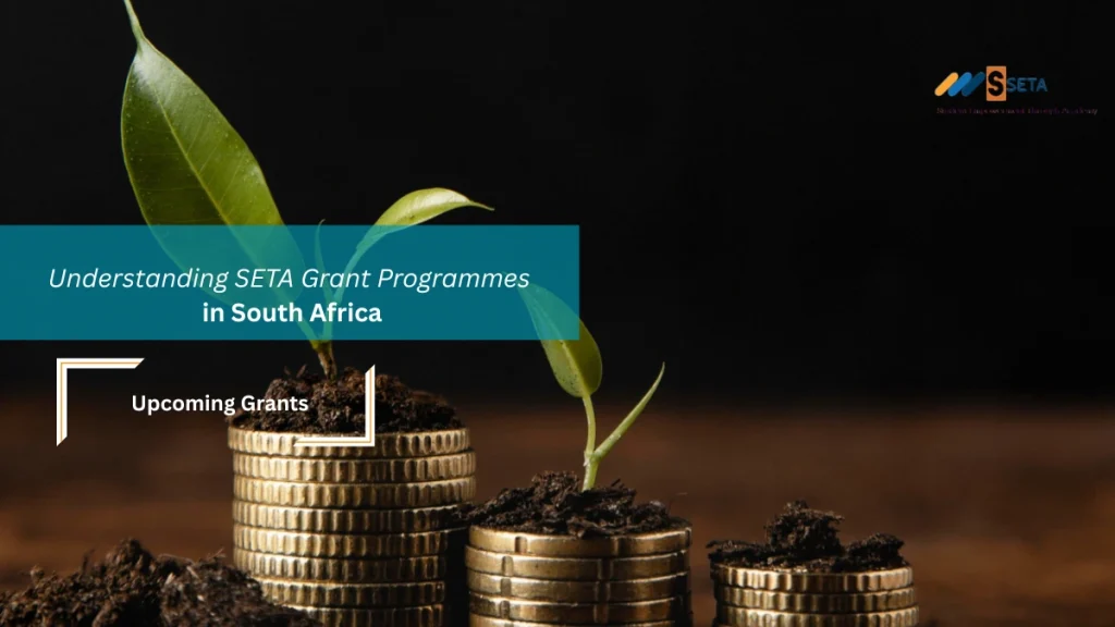 Understanding SETA Grant Programmes